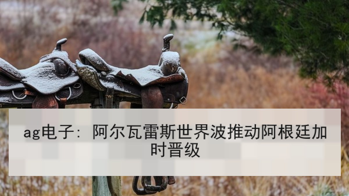 ag电子: 阿尔瓦雷斯世界波推动阿根廷加时晋级 ag电子: 阿尔瓦雷斯世界波推动阿根廷加时晋级